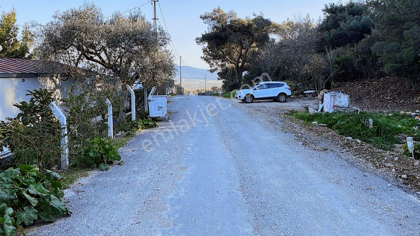 Torbalı Bozköy Mahallesinde 210 M2 Zeytinli Tarla - Görsel 25