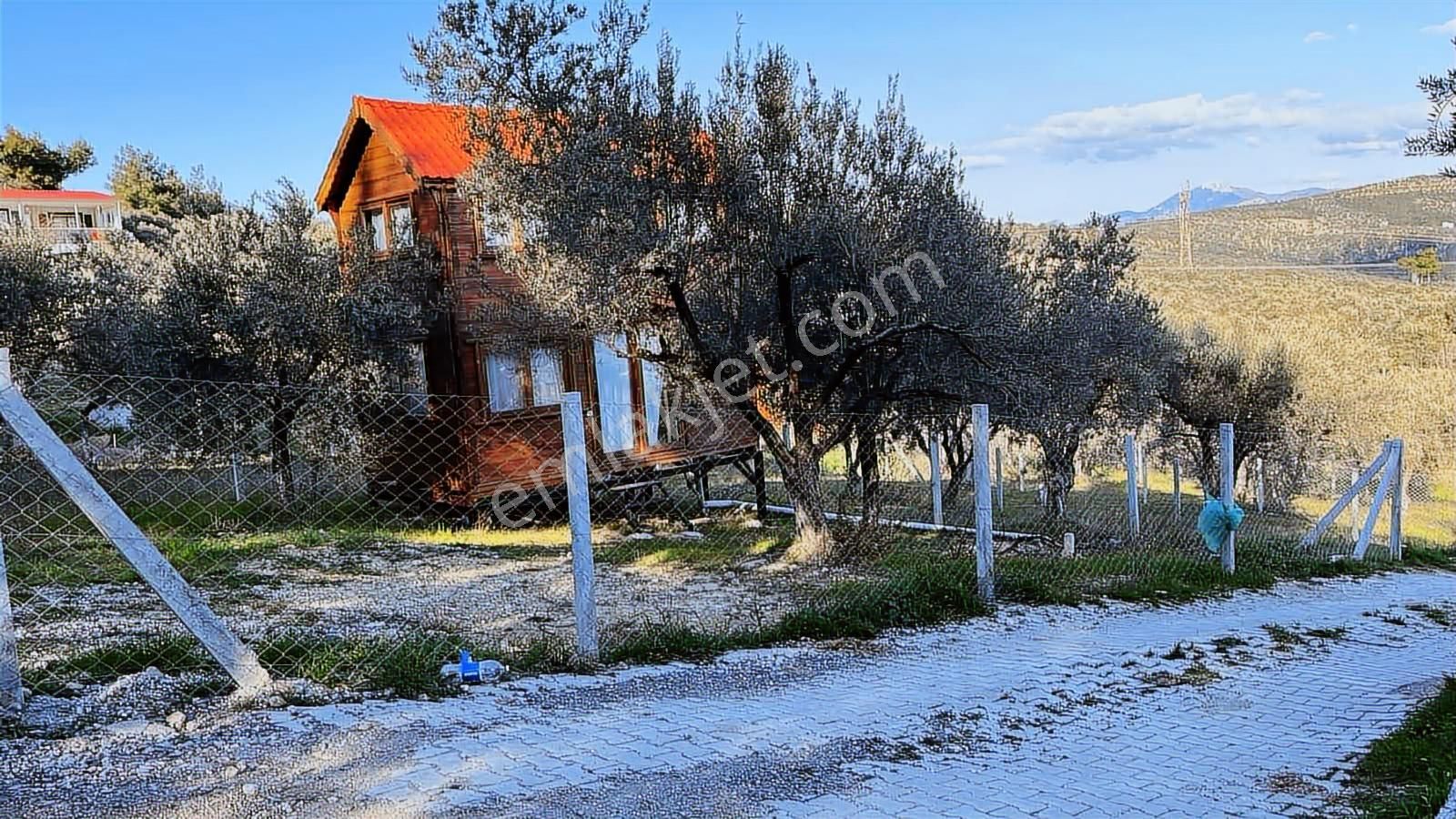 Torbalı Bozköy Mahallesinde 210 M2 Zeytinli Tarla - Görsel 33