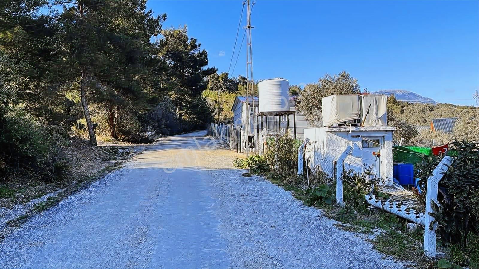 Torbalı Bozköy Mahallesinde 210 M2 Zeytinli Tarla - Görsel 14