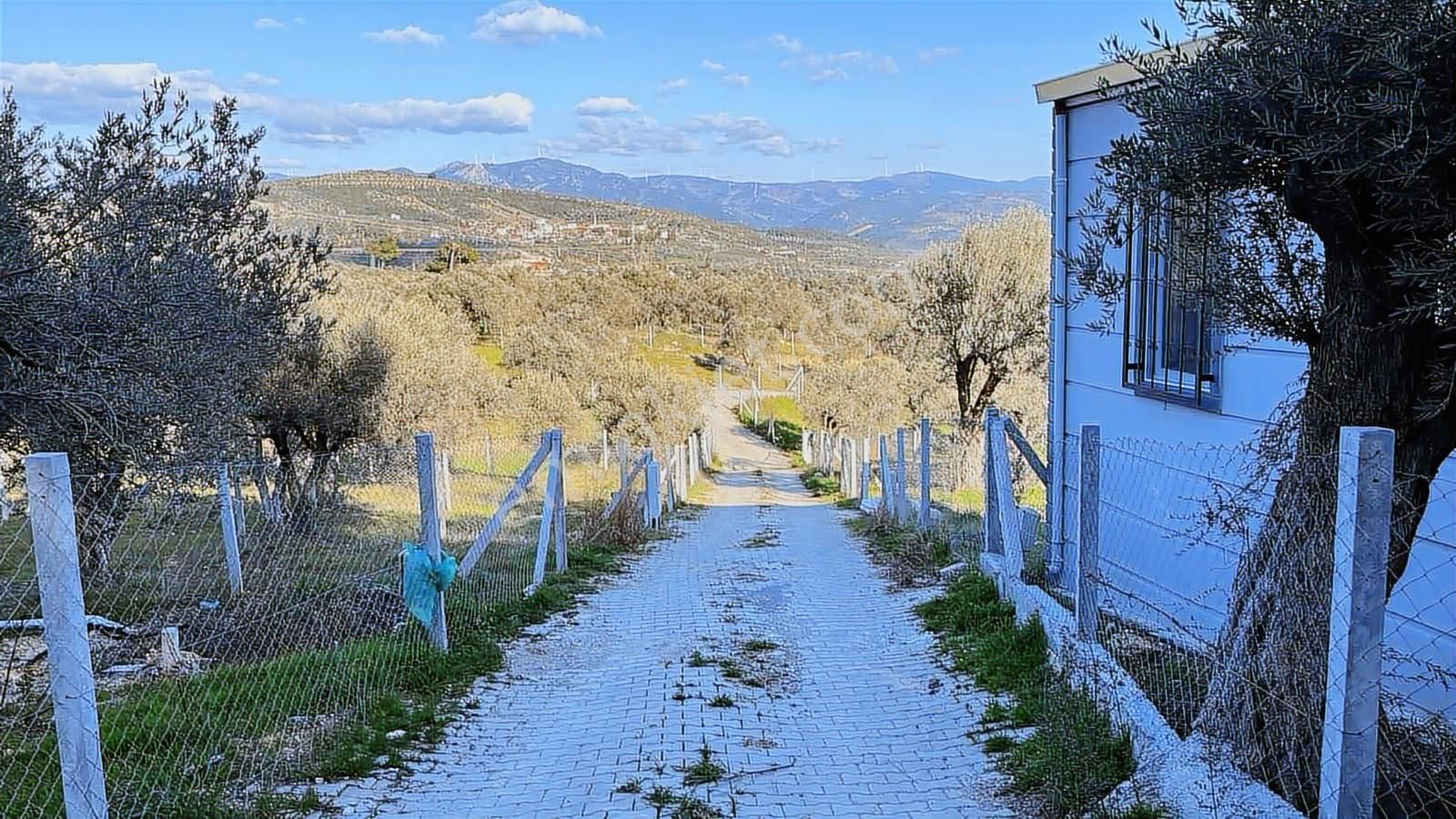 Torbalı Bozköy Mahallesinde 210 M2 Zeytinli Tarla - Görsel 27