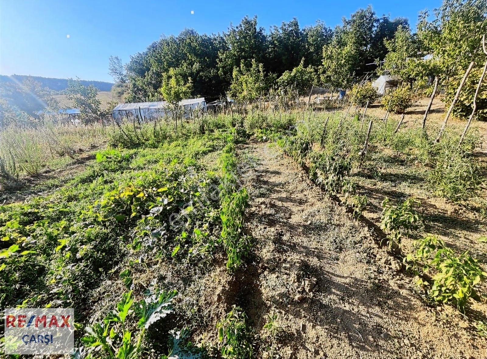 İzmit Gedikli Köyünde Geniş Arsasıyla Satılık 3+1 Müstakil Ev - Görsel 6