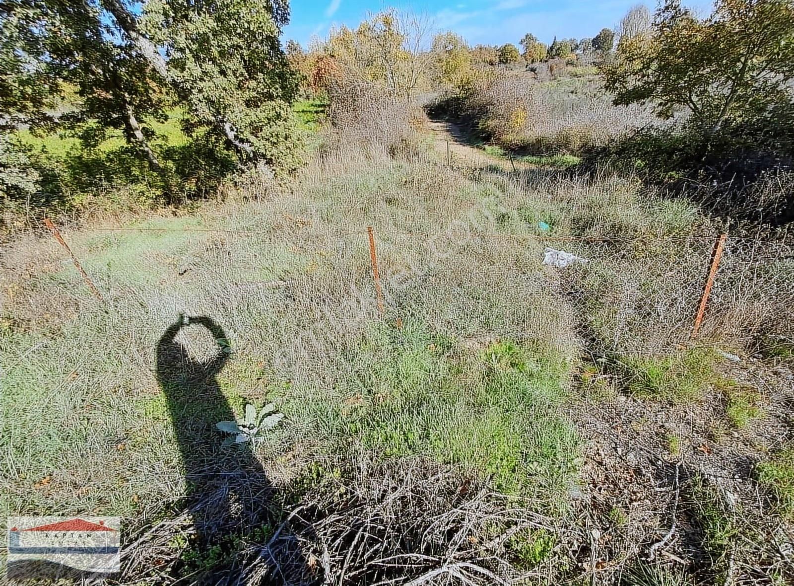 Yenice Engeci Köyü Ana Yola Cephe Satılık 262 M2 Satılık Tarla - Görsel 17