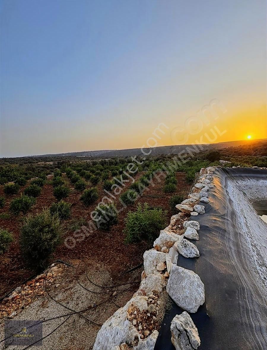 Erdemli Ayaş 3.126 M2 Satılık Arsa - Görsel 10