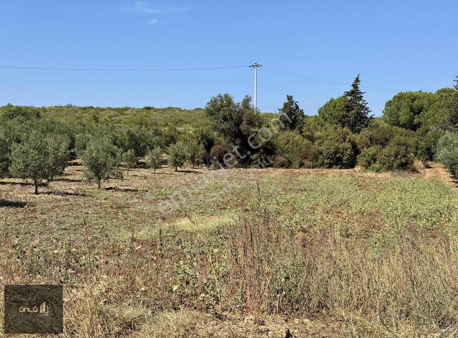 Mudanya Esence'de 566 M2 Fırsat Yatırımlık Satılık Tarla - Görsel 3