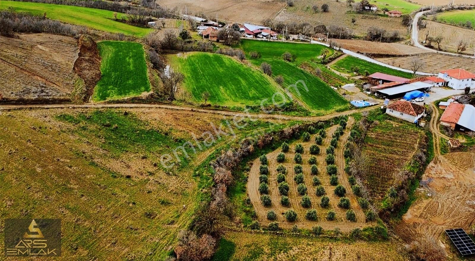 Ars'den Satılık Çiftlik Evi Besihane Buldan Beyler Yaylasında - Görsel 17