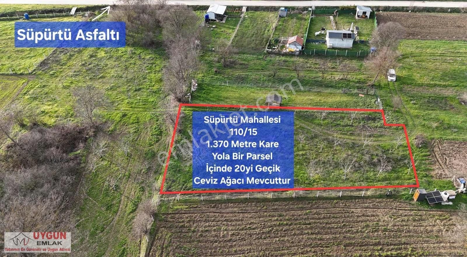 Süpürtüde Satılık Ceviz Bahçesi - Görsel 3