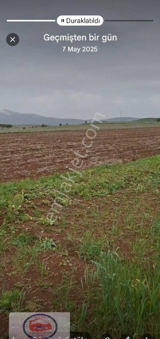 Yeşilova Salda Gölü Havzası İçerisi Dereköyde 5800 - Görsel 7