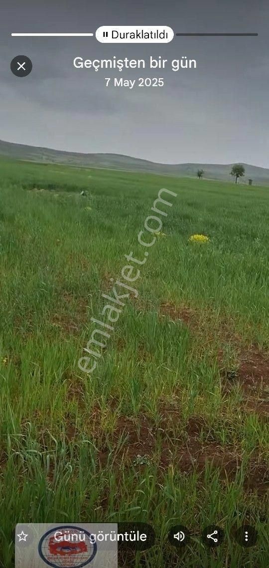 Yeşilova Salda Gölü Havzası İçerisi Dereköyde 5800 - Görsel 5