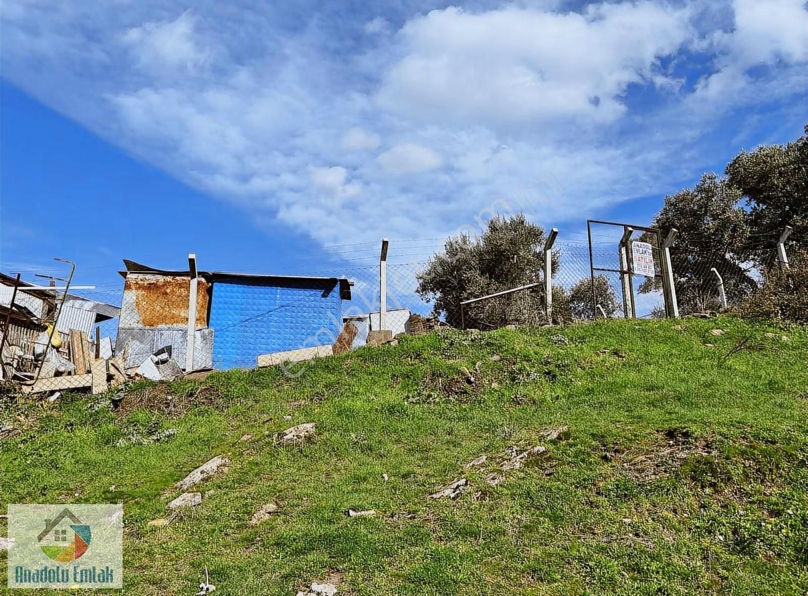 Hisarlık Köyü'nde Satılık 5628 M² Zeytinlik Ve Hobi Bahçesi - Görsel 4