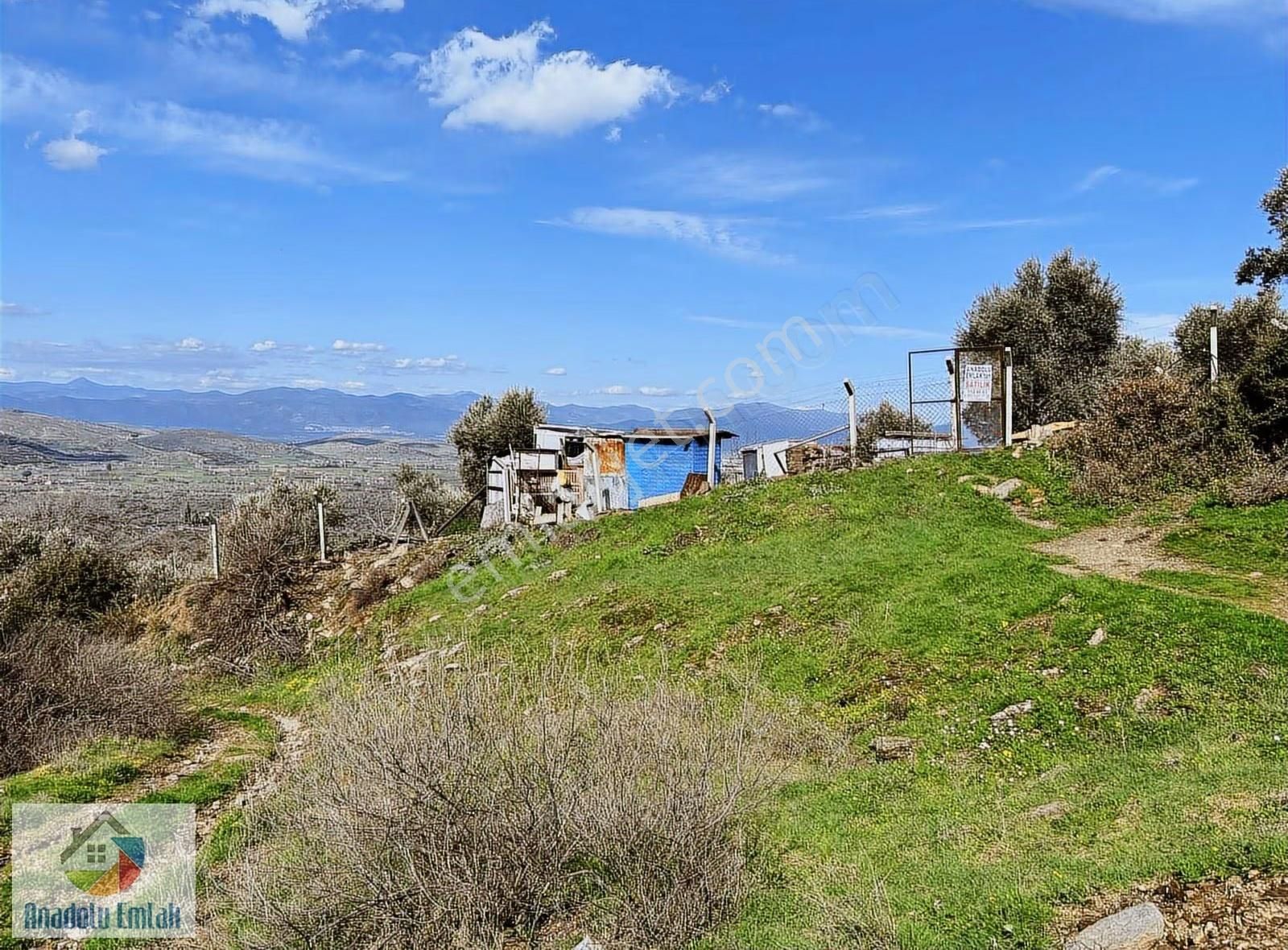 Hisarlık Köyü'nde Satılık 5628 M² Zeytinlik Ve Hobi Bahçesi