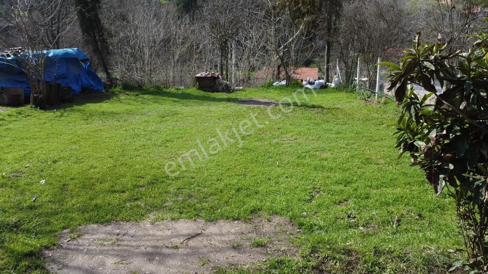 Aydın Efeler Aşağı Kayacık Kavak Alanı Mevkii Satılık Arsa+ev - Görsel 11