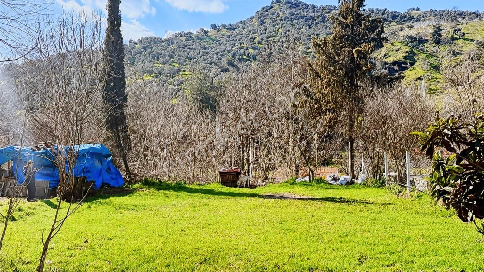 Aydın Efeler Aşağı Kayacık Kavak Alanı Mevkii Satılık Arsa+ev - Görsel 10