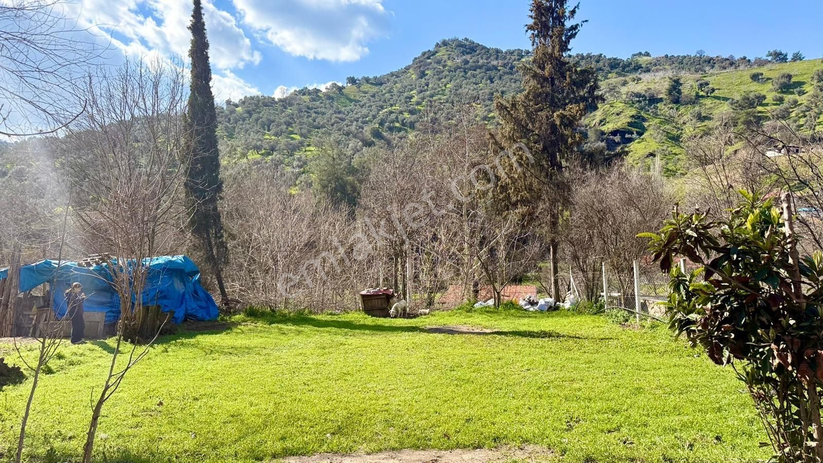 Aydın Efeler Aşağı Kayacık Kavak Alanı Mevkii Satılık Arsa+ev - Görsel 9