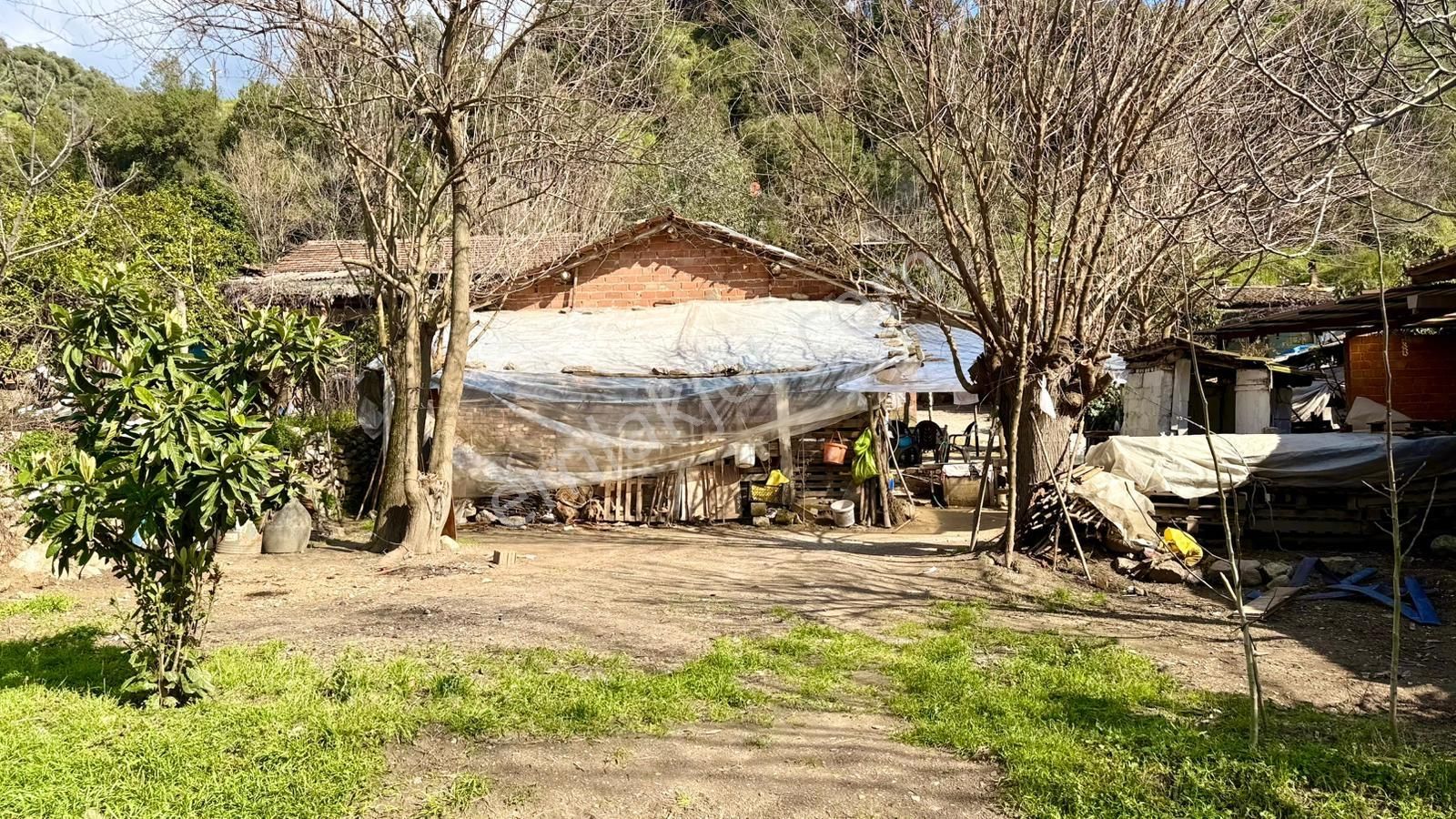 Aydın Efeler Aşağı Kayacık Kavak Alanı Mevkii Satılık Arsa+ev - Görsel 3