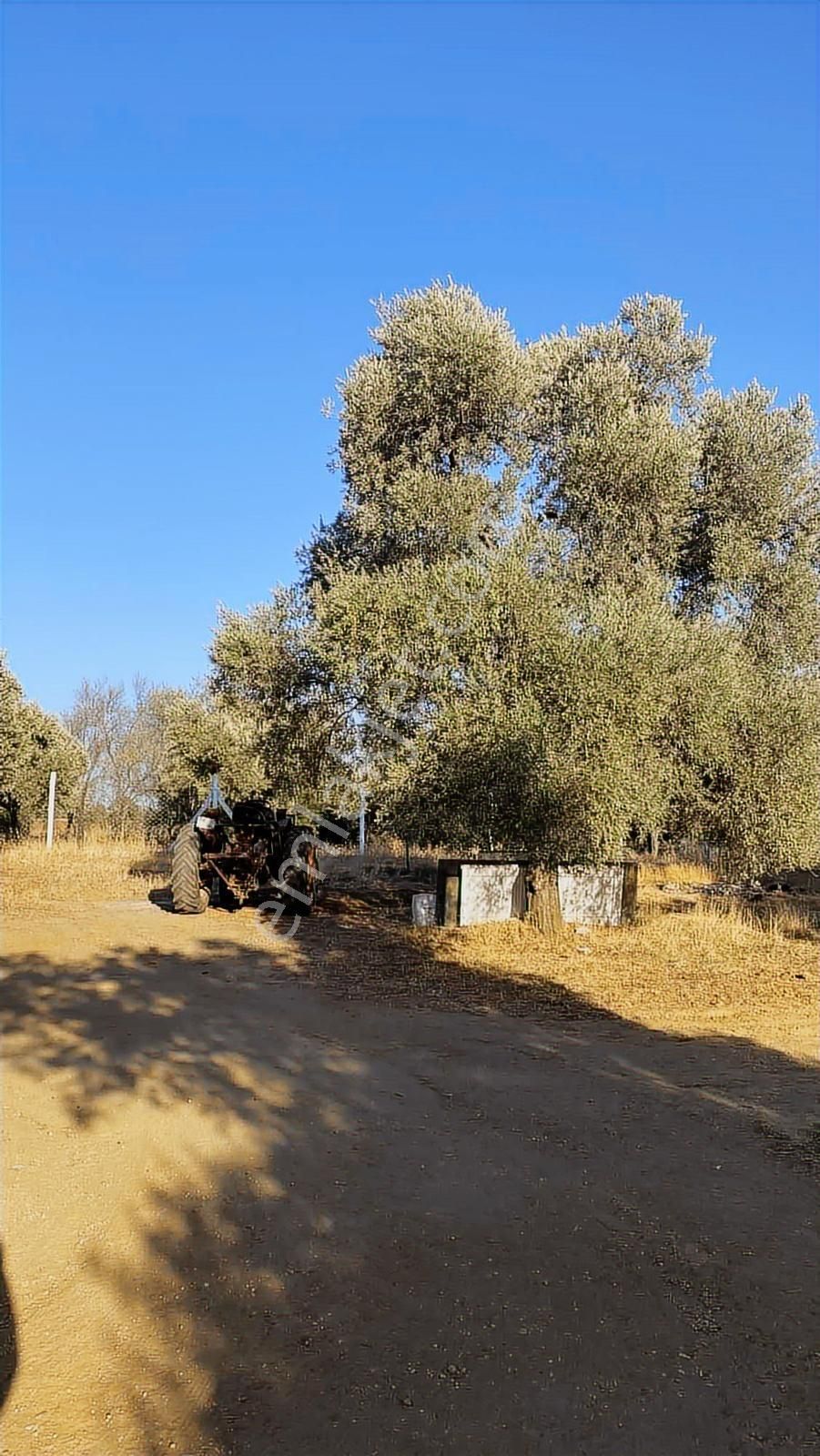 Divaland Gayrimenkulden İmara Yakın Bölgede Yatırım Fırsatı - Görsel 12