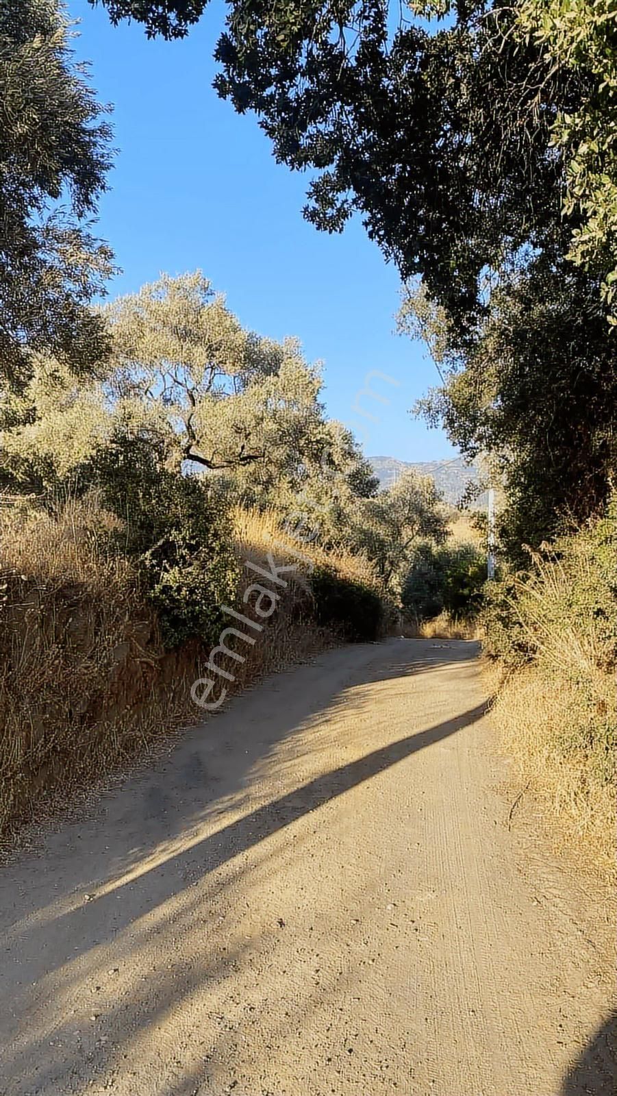 Divaland Gayrimenkulden İmara Yakın Bölgede Yatırım Fırsatı - Görsel 9