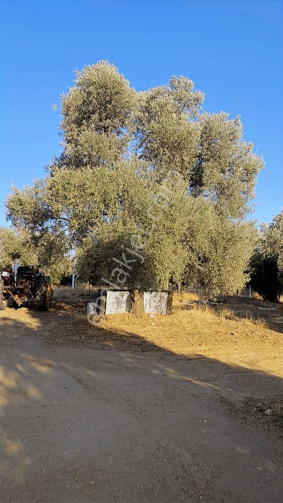 Divaland Gayrimenkulden İmara Yakın Bölgede Yatırım Fırsatı - Görsel 6