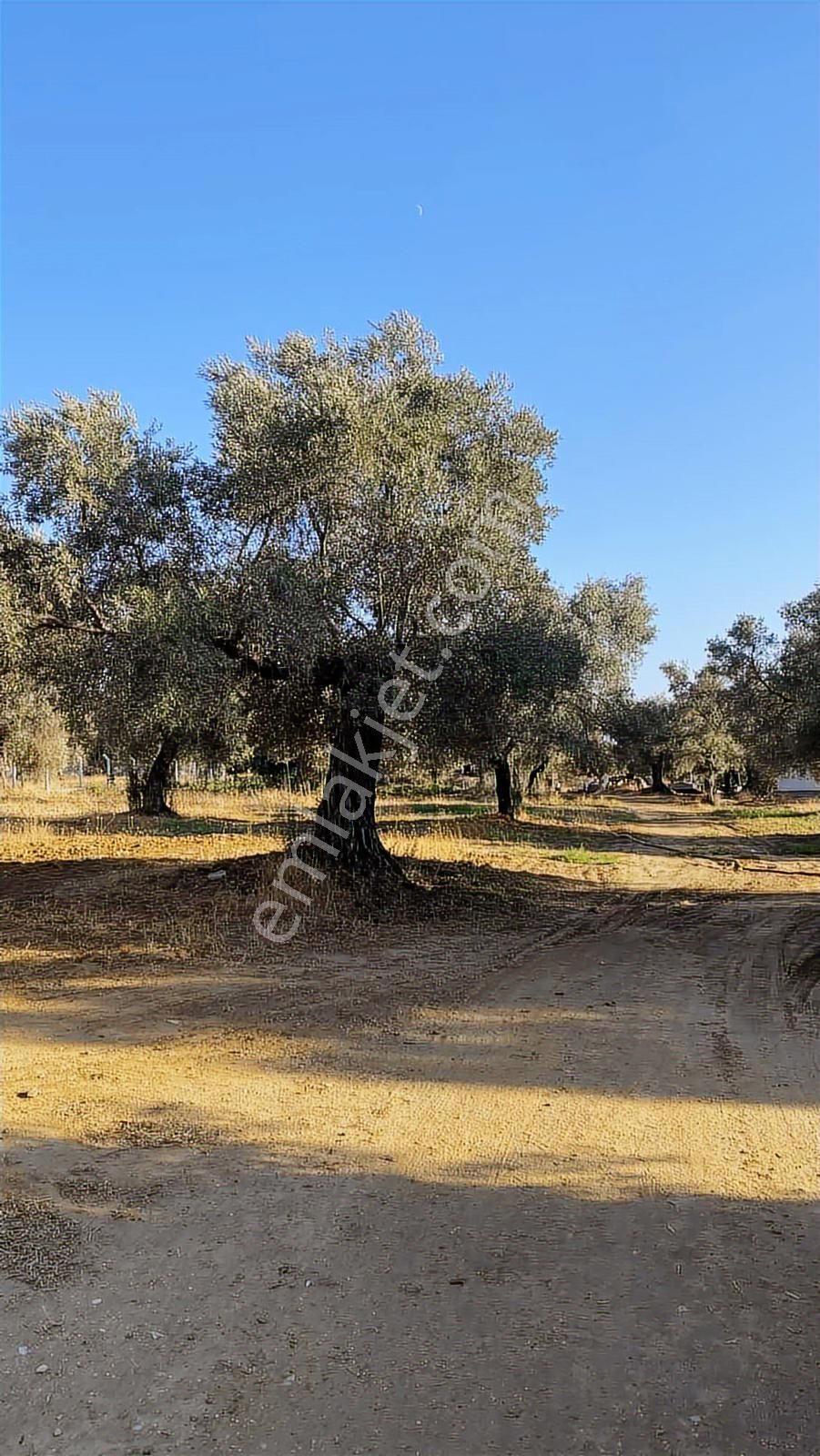 Divaland Gayrimenkulden İmara Yakın Bölgede Yatırım Fırsatı - Görsel 14