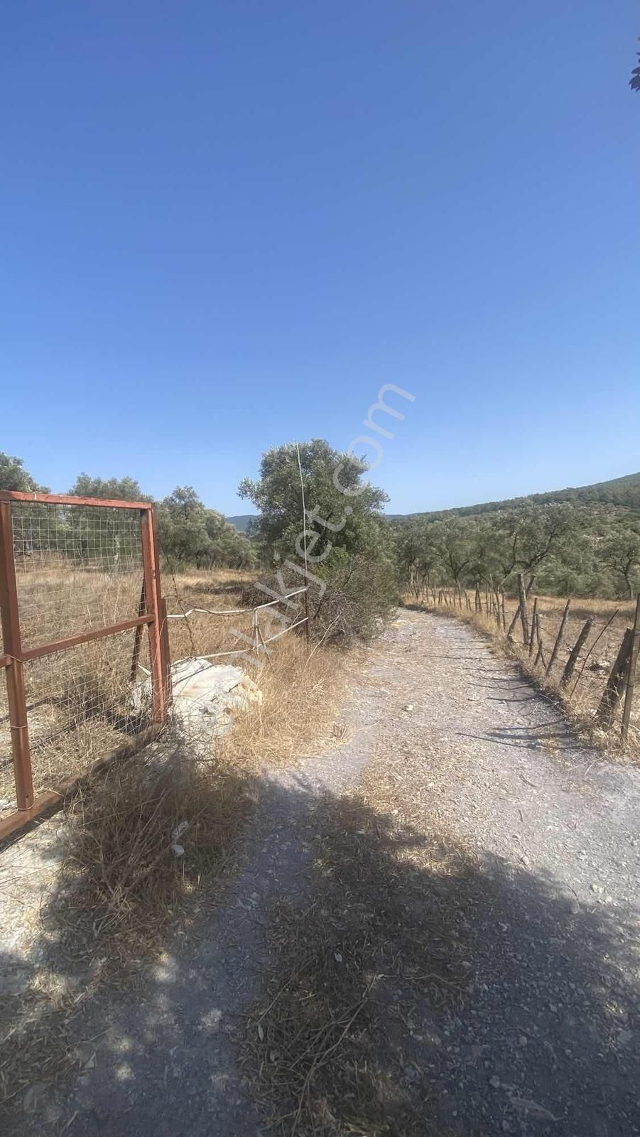 Milas Bozbükte Turizm Gelişimine Açık Bölgede 84 Dönüm Arazi - Görsel 11