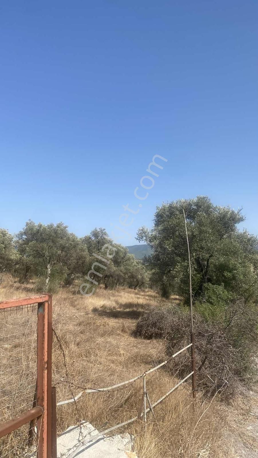 Milas Bozbükte Turizm Gelişimine Açık Bölgede 84 Dönüm Arazi - Görsel 14