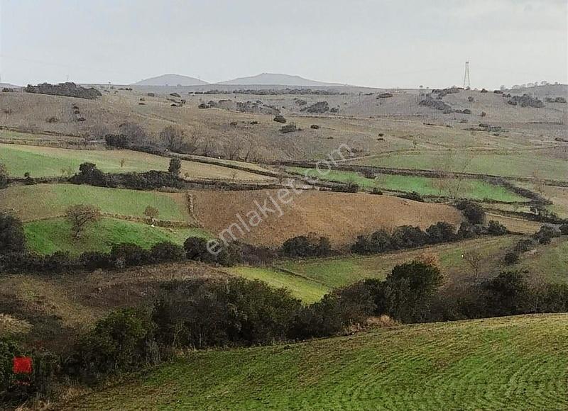 Liva'dan Balıkesir Y.iskender'de 5500 M2 Arazi - Görsel 2