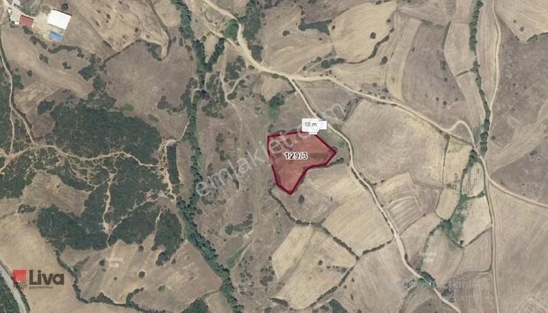 Liva'dan Balıkesir Y.iskender'de 5500 M2 Arazi - Görsel 4