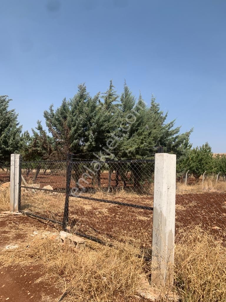 Mirhan Dan Sarıbaşakta Mükemmel Konumda Yatırıma Uygun Arazi - Görsel 11