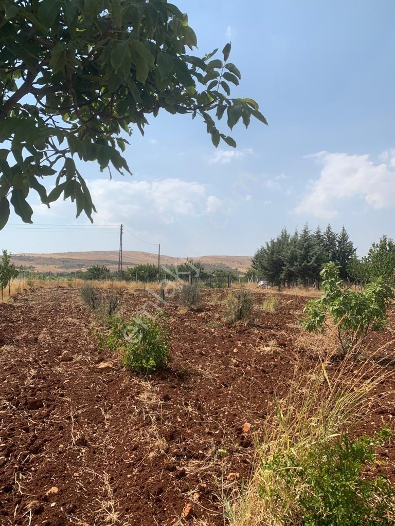 Mirhan Dan Sarıbaşakta Mükemmel Konumda Yatırıma Uygun Arazi - Görsel 7