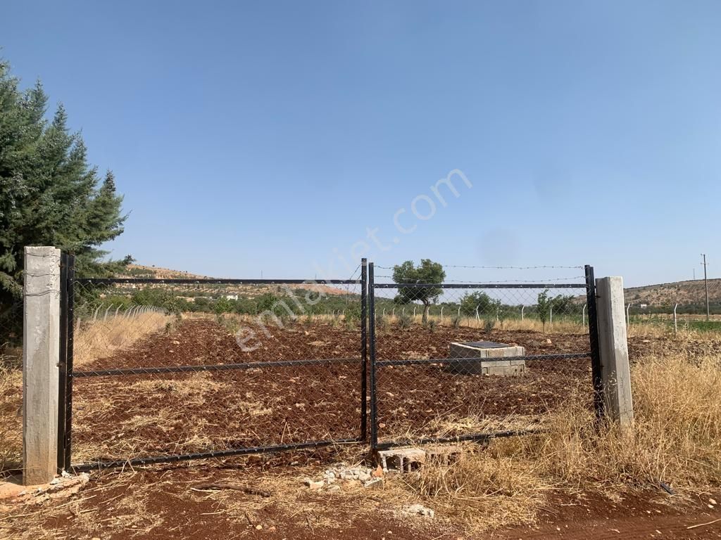 Mirhan Dan Sarıbaşakta Mükemmel Konumda Yatırıma Uygun Arazi - Görsel 5