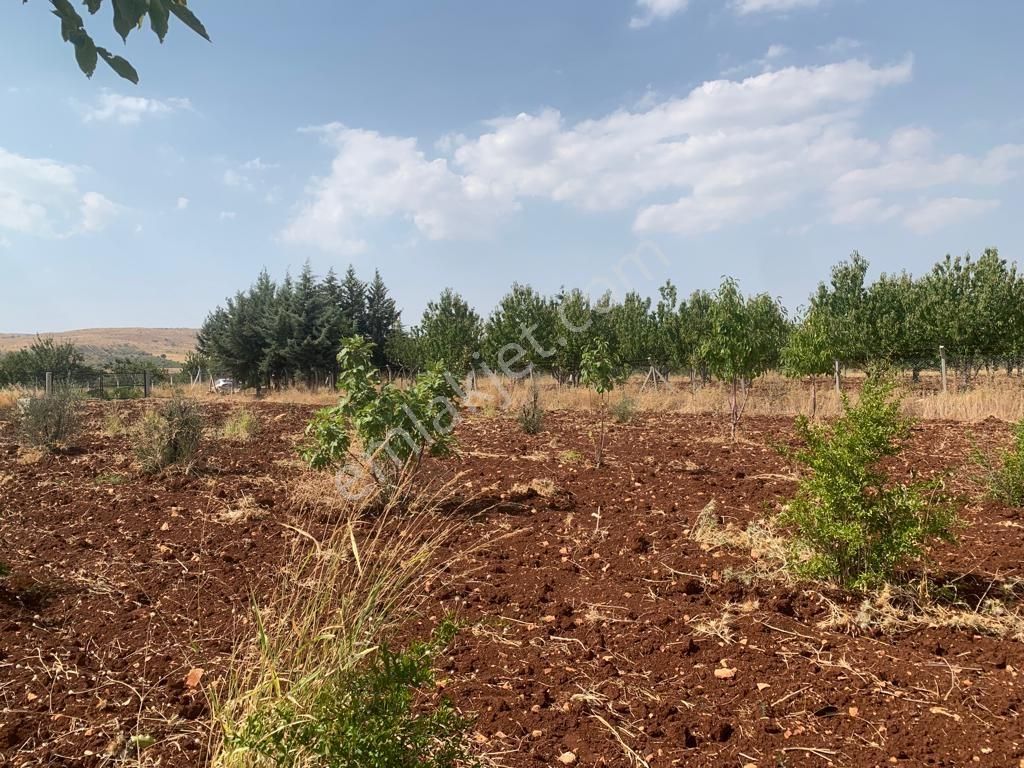 Mirhan Dan Sarıbaşakta Mükemmel Konumda Yatırıma Uygun Arazi - Görsel 2