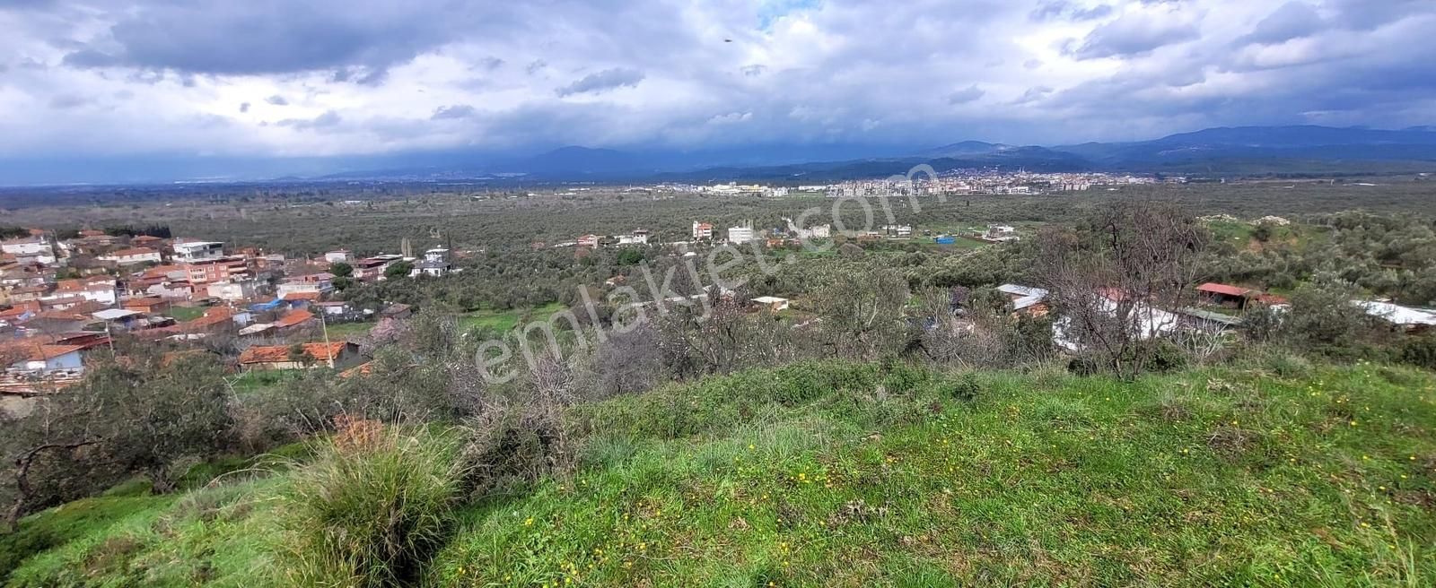 Havran Küçükdere Köy Dibinde Satılık Zeytinlik - Görsel 18