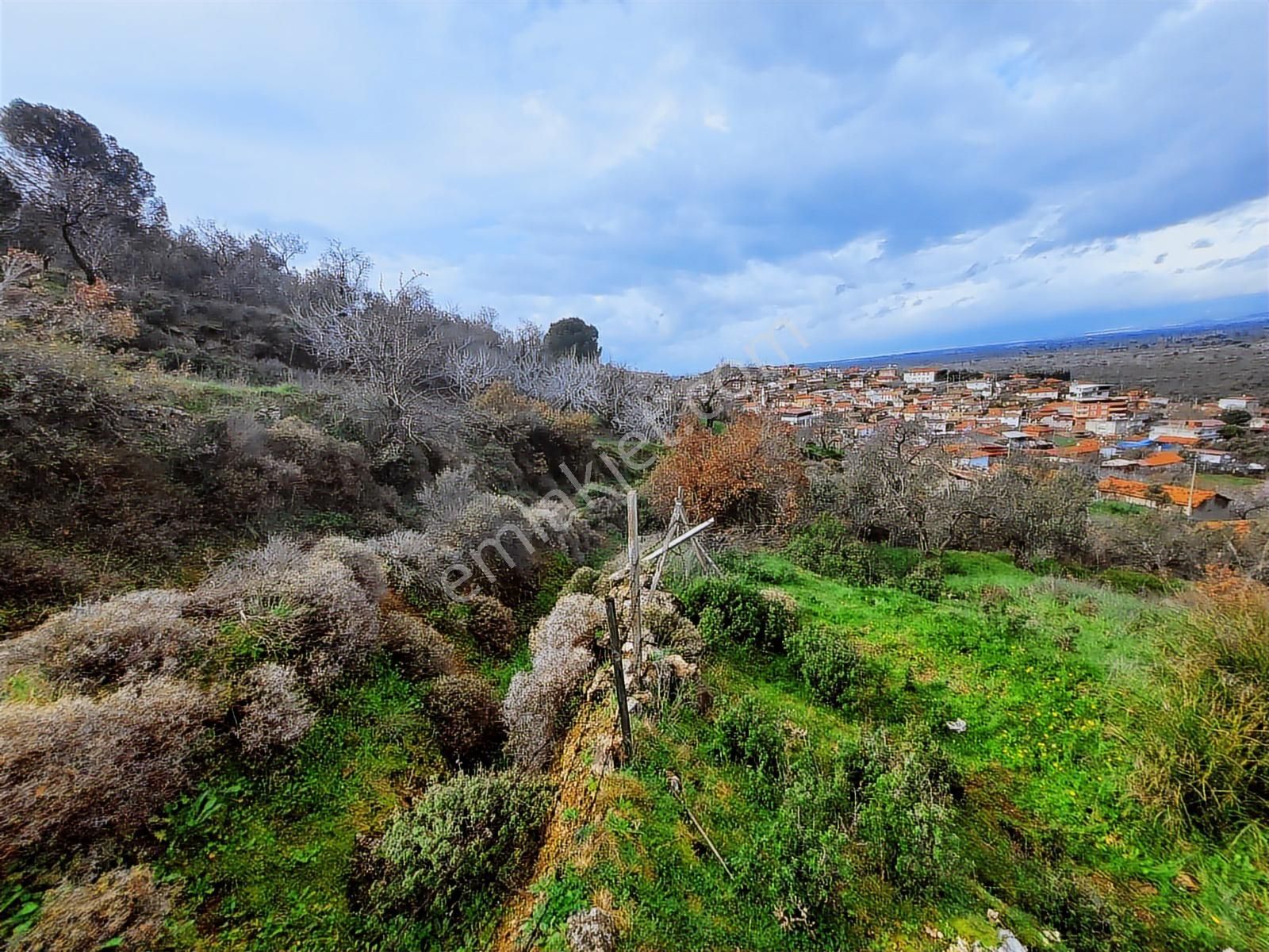 Havran Küçükdere Köy Dibinde Satılık Zeytinlik - Görsel 2