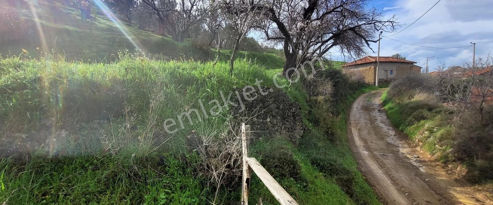 Havran Küçükdere Köy Dibinde Satılık Zeytinlik - Görsel 25
