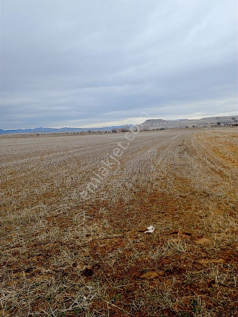 Me-ka Group'tan Merkez Gebeceler De 4000 M2 Acil Satılık Tarla - Görsel 3