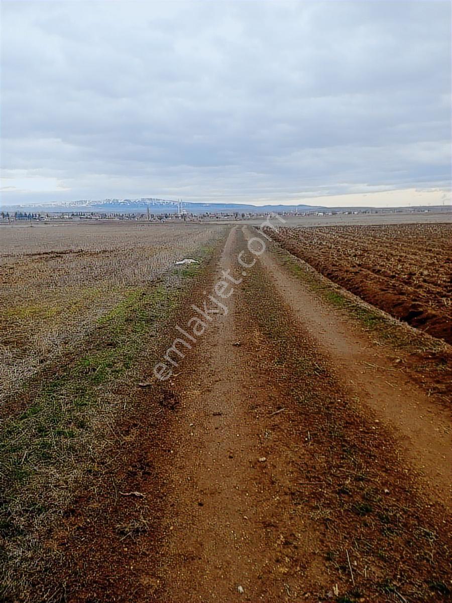 Me-ka Group'tan Merkez Gebeceler De 4000 M2 Acil Satılık Tarla - Görsel 2