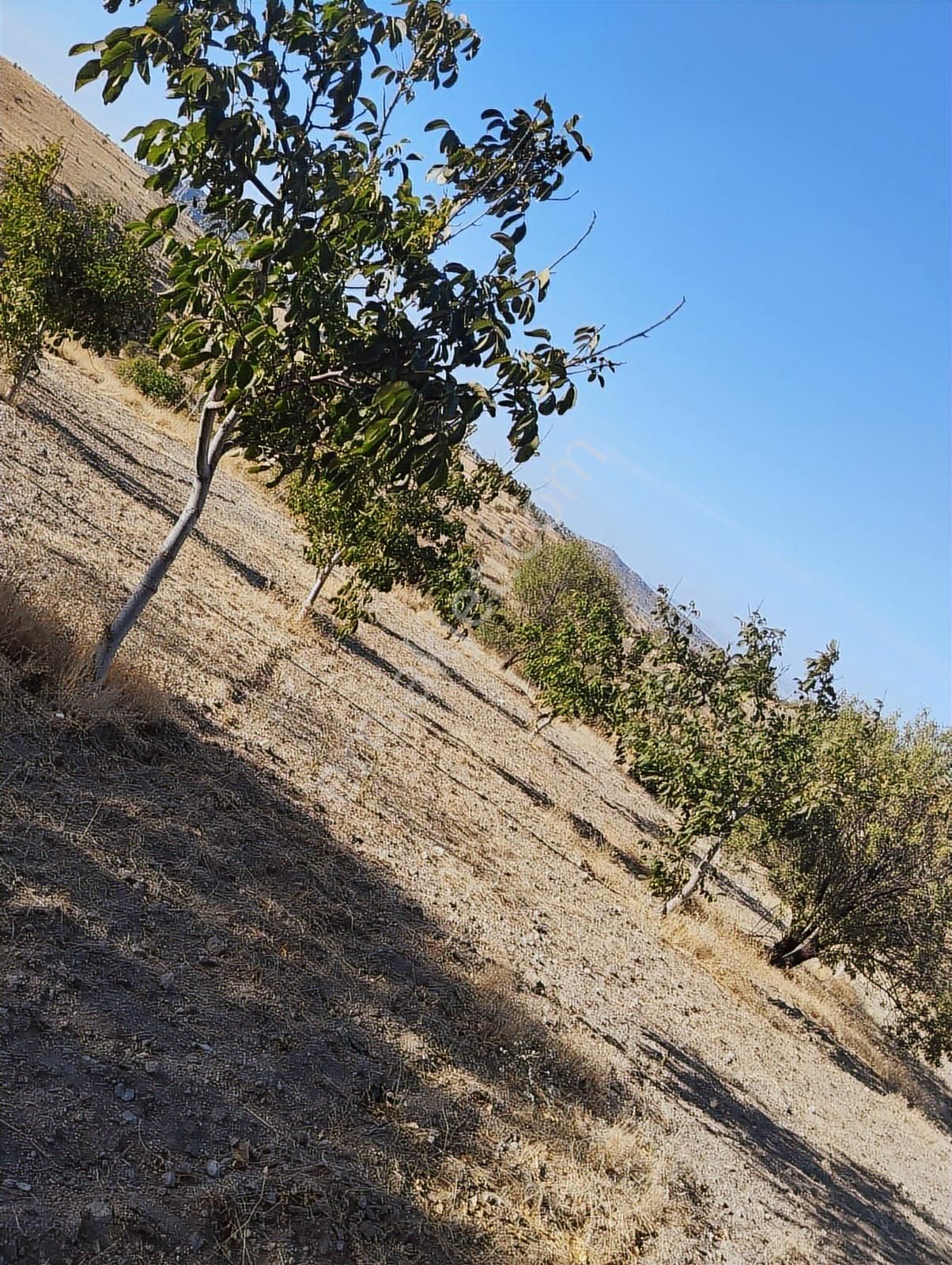 Me Ka Group'tan Büyük Kalecik Mevkii Yatırımlık Fırsat Villa - Görsel 12