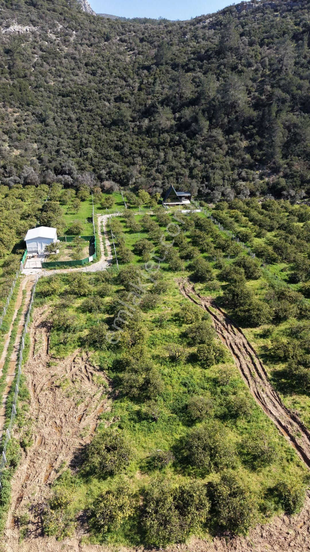 Ahmetbeylide Sahile Yakın Satılık 203 M2 2026 Yazına Muhteşem Gireceğiniz Bahçeler - Görsel 22