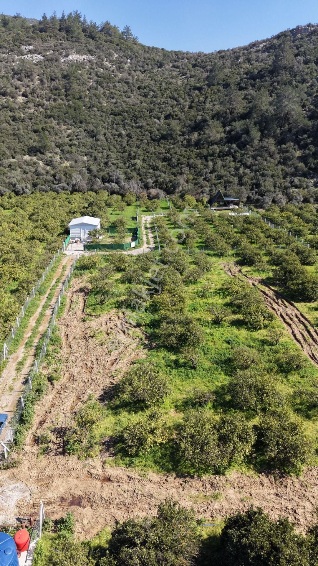 Ahmetbeylide Sahile Yakın Satılık 203 M2 2026 Yazına Muhteşem Gireceğiniz Bahçeler - Görsel 21