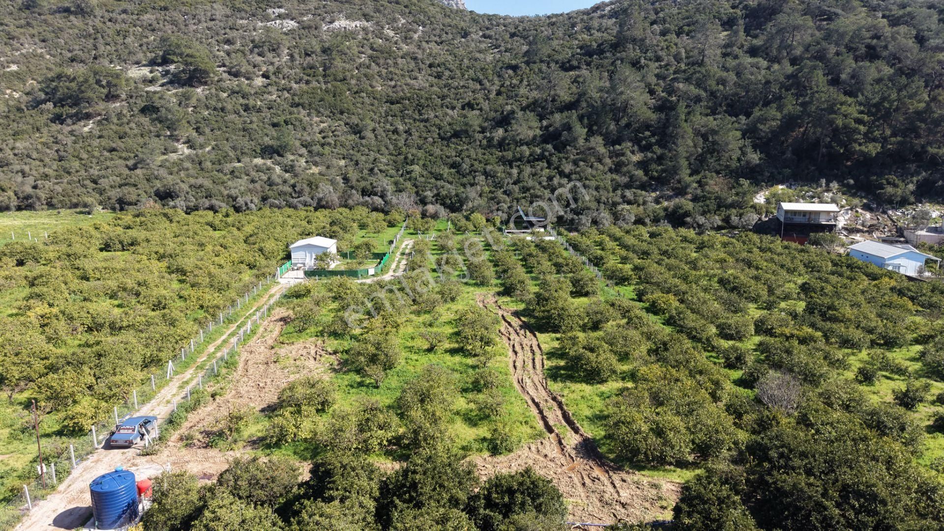 Ahmetbeylide Sahile Yakın Satılık 203 M2 2026 Yazına Muhteşem Gireceğiniz Bahçeler - Görsel 9