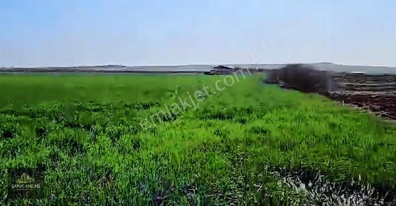 Silivri Küçükkılıçlı Satılık Tek Tapulu Uygun Arsa 7060 M2 - Görsel 7