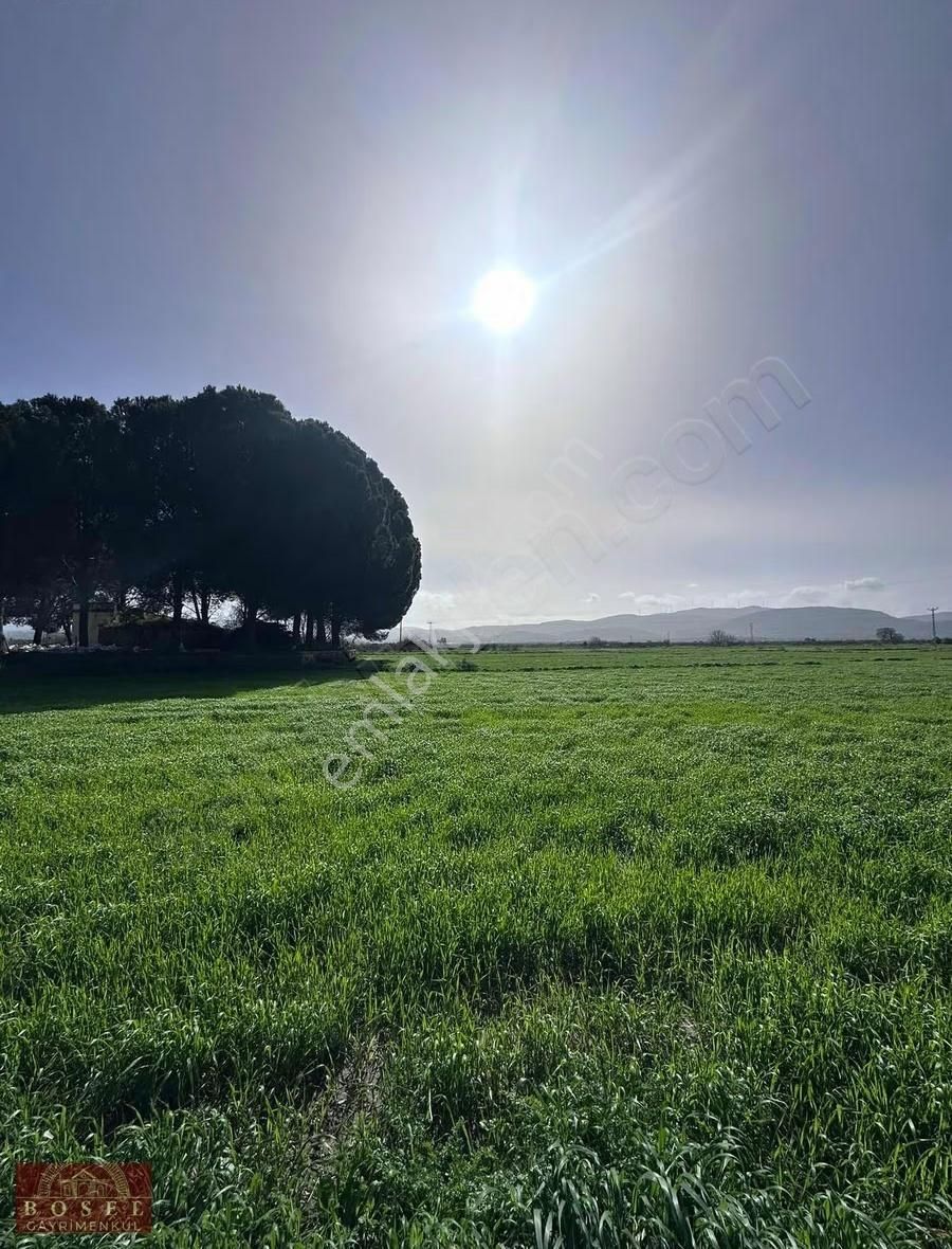 Bodrum Mumcular Satılık 2560 M2 Tarla - Görsel 12