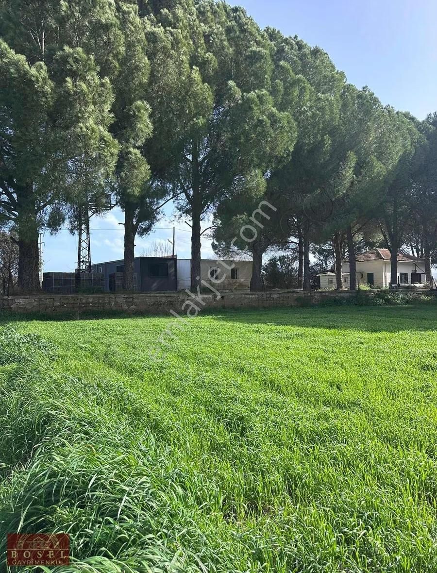 Bodrum Mumcular Satılık 2560 M2 Tarla - Görsel 11