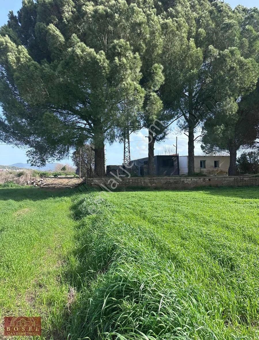 Bodrum Mumcular Satılık 2560 M2 Tarla - Görsel 6