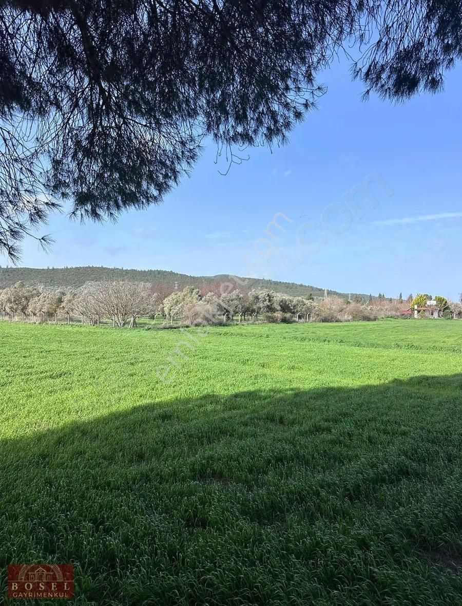 Bodrum Mumcular Satılık 2560 M2 Tarla - Görsel 7