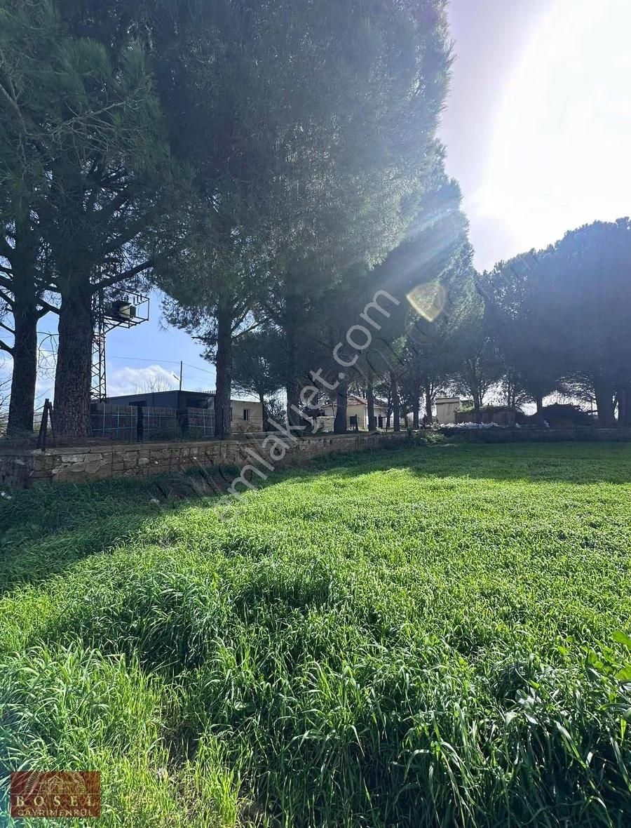 Bodrum Mumcular Satılık 2560 M2 Tarla - Görsel 13