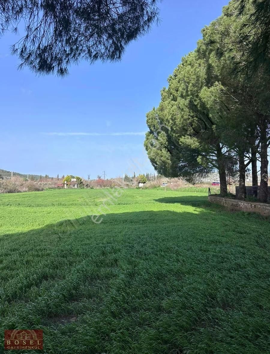 Bodrum Mumcular Satılık 2560 M2 Tarla - Görsel 5