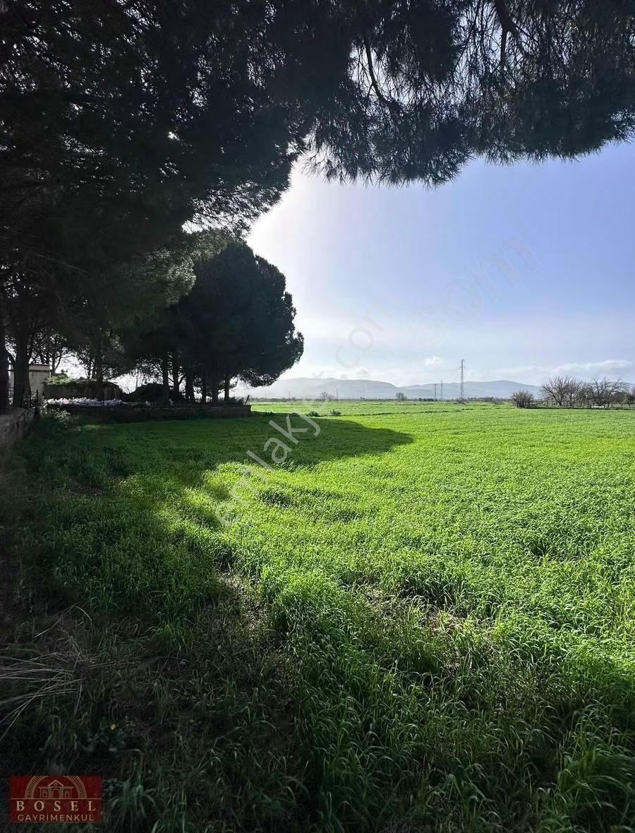 Bodrum Mumcular Satılık 2560 M2 Tarla - Görsel 9