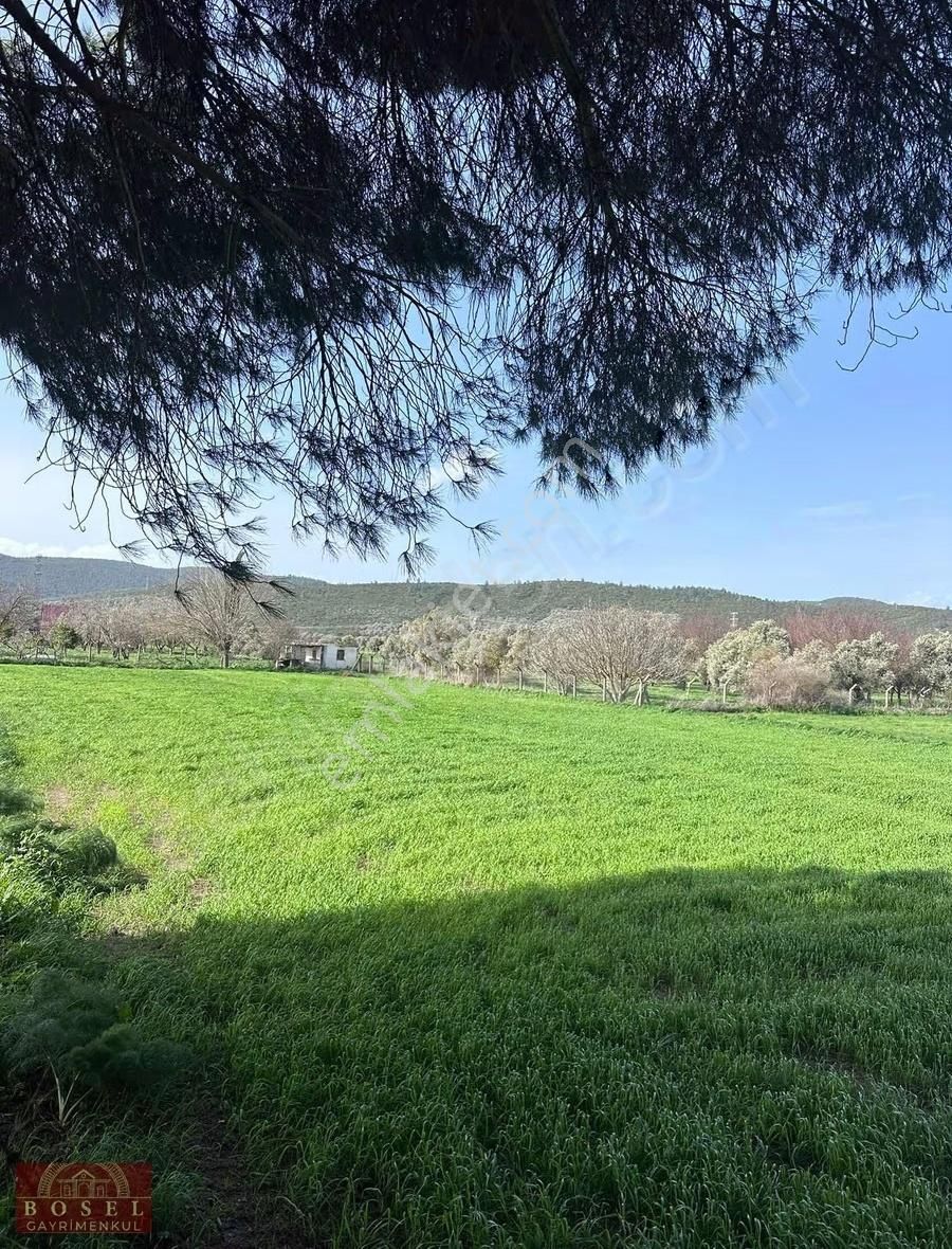 Bodrum Mumcular Satılık 2560 M2 Tarla - Görsel 15