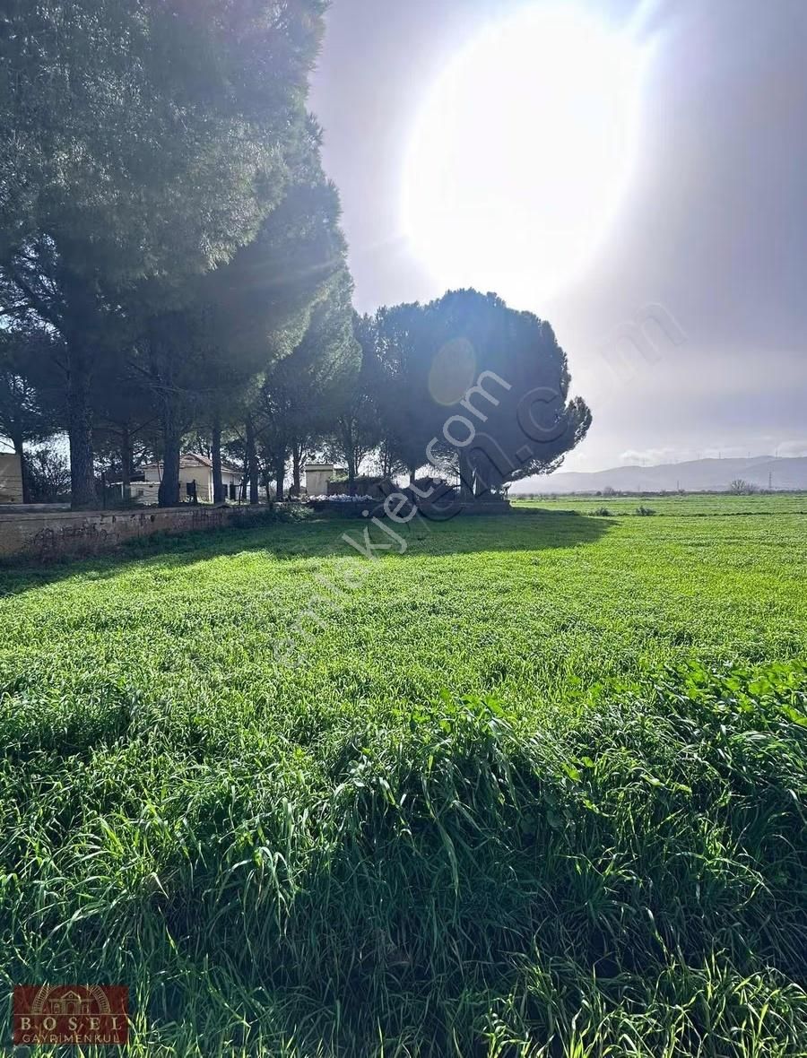 Bodrum Mumcular Satılık 2560 M2 Tarla - Görsel 4