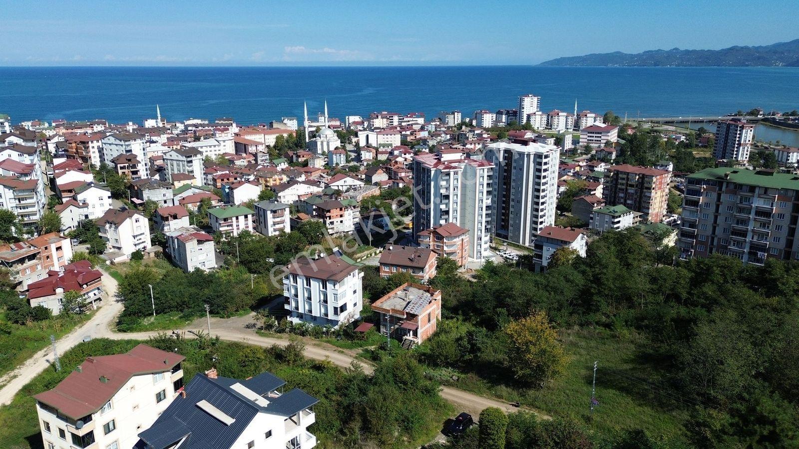 Z Grup Fatsa Kurtuluş Mah Deniz Manzaralı Köşe Başı Arsa - Görsel 3